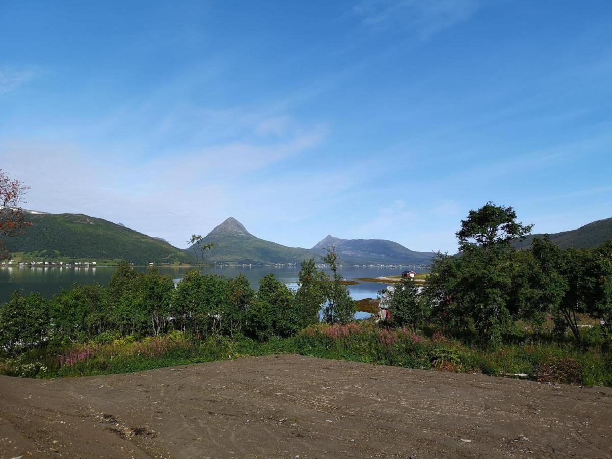 Campingplasser Fjordbotn *