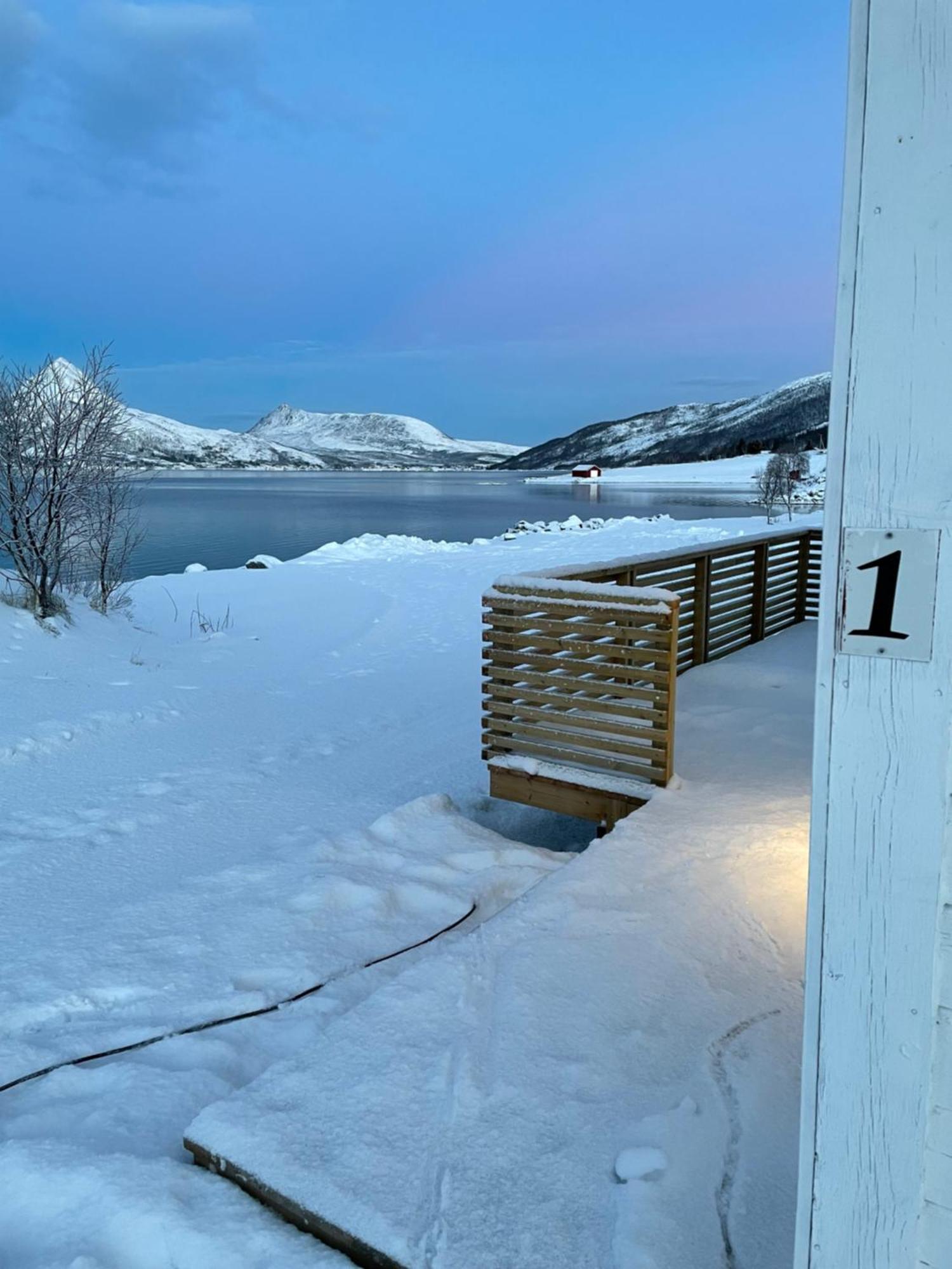 Fjordbotn Galnslåtta
