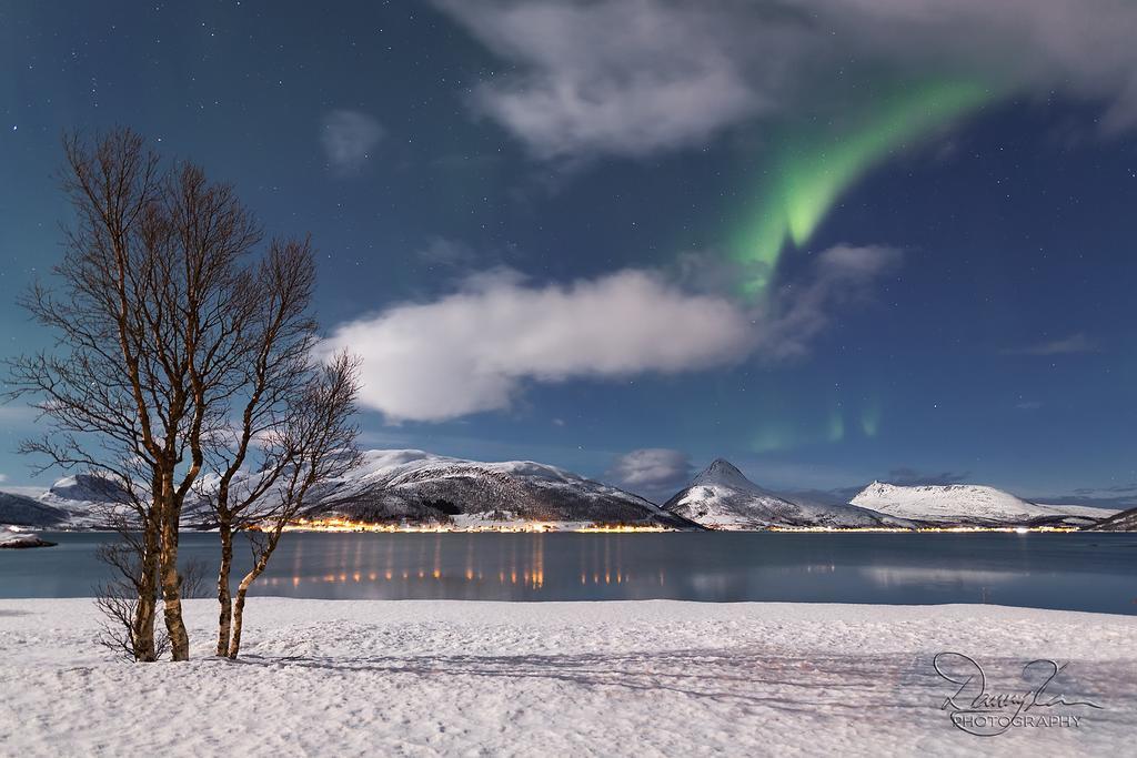 Camp Fjordbotn Galnslåtta
