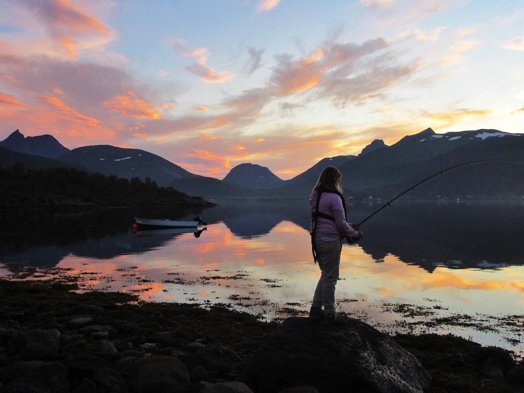 Fjordbotn Campingplasser *